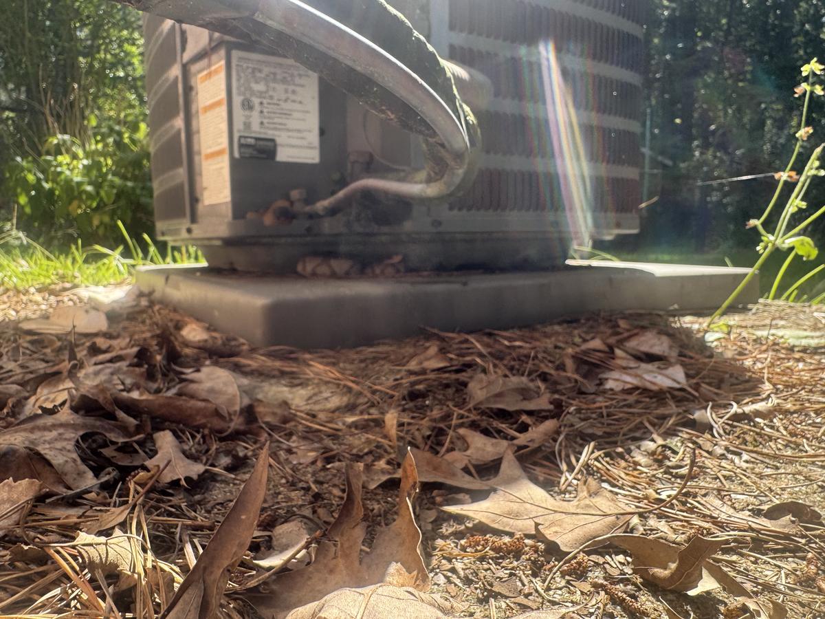 Copperhead snake coiled in the shadowed gap beneath an outdoor air conditioner condenser unit, with dry leaves and pine needles on the ground in front