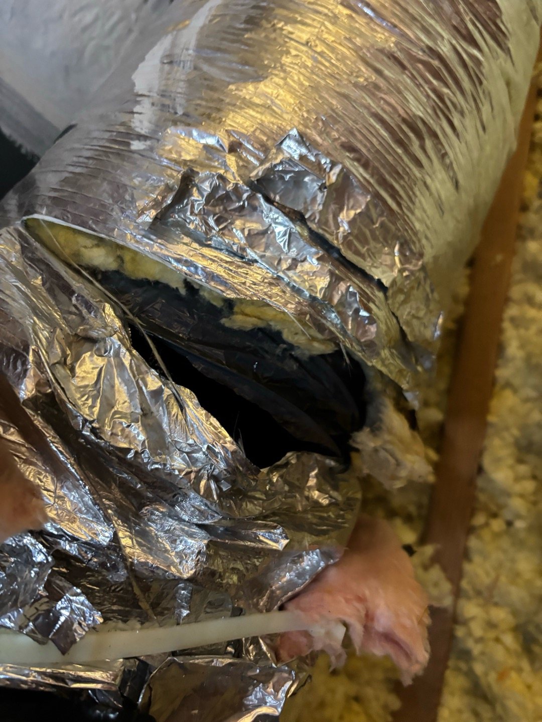 Torn foil flex duct in an attic with its inner liner exposed, leaking cooled air into the attic insulation